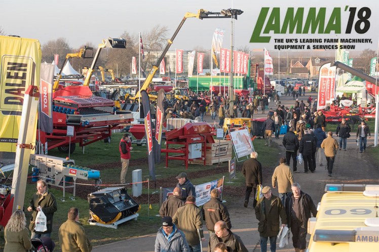 lamma2